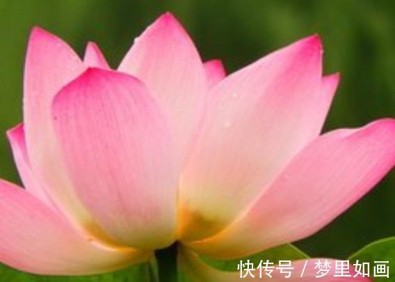 富贵盈门|4属相到了8月份,运势上涨,鸿运当头,贵人多助,富贵盈门