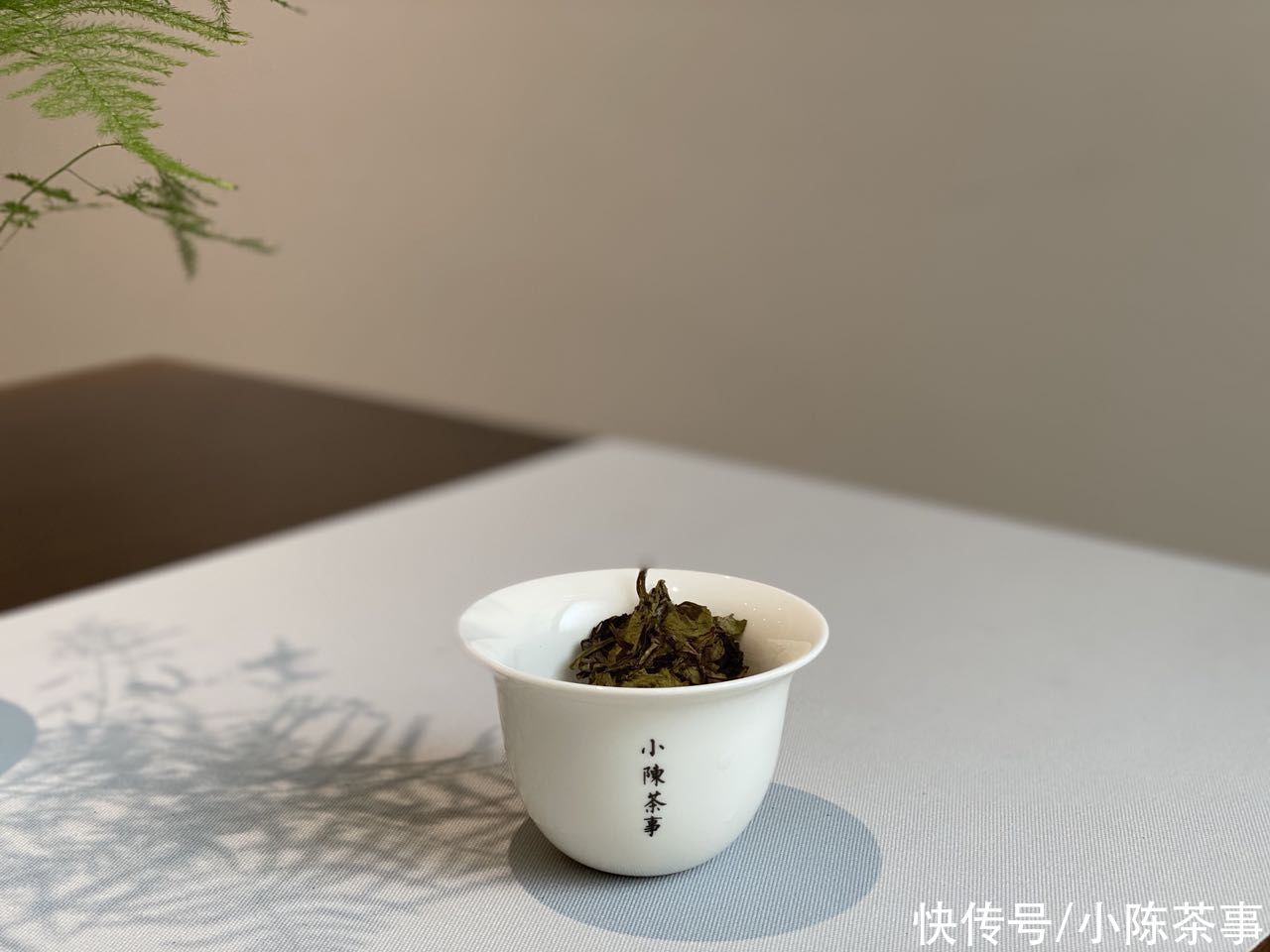 选茶|白茶要怎么冲泡才好？从选茶，到选器，择水，水温，教程很细致