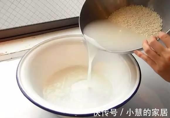 浇花|淘米水浇花，浇一盆死一盆，其实是你不会用