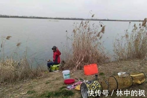 活性|冬季打窝聚鱼慢,发窝迟,不妨试试这三招,鱼口说来就来