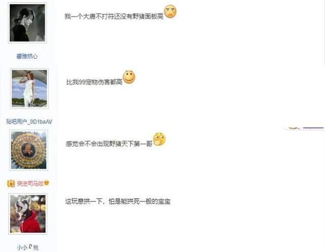 手游|梦幻西游手游：大佬把个性宠玩出了花！你见过如此极品的野猪吗？
