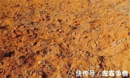 尸骨!古怪农田千年来无法耕种,老汉随手一挖,却发现我国最残忍的古墓