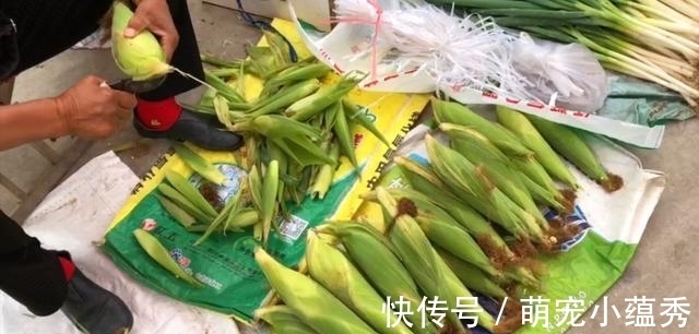 煮玉米时一定不要只用清水,水里加点“它”,香甜软糯,太香了