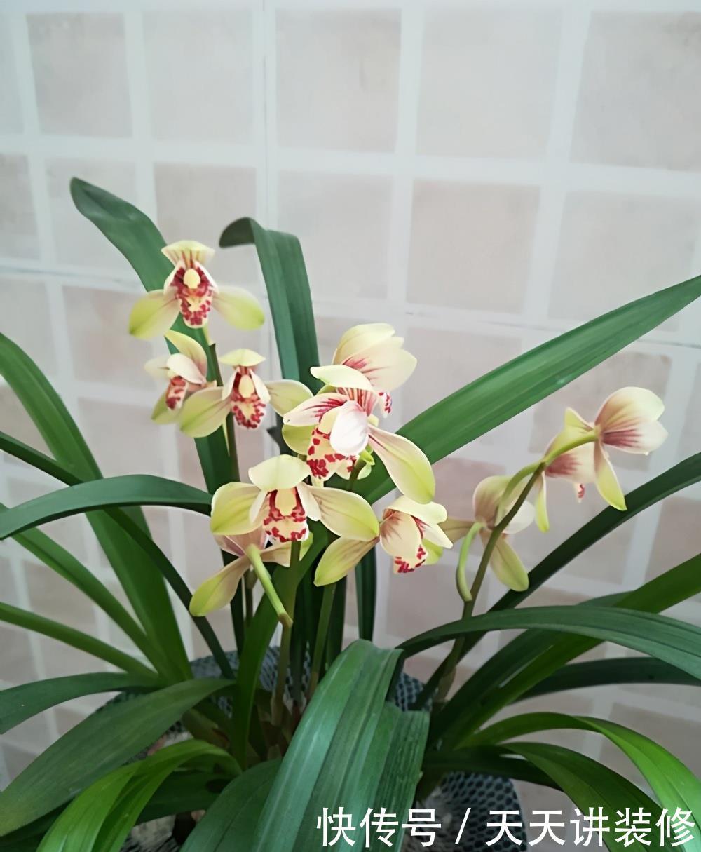 判断|何时才是浇花的最佳时机,可从三大方面,来加以判断