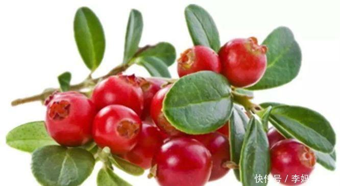 立冬后易生病，瓜果食物经常换，补气养颜，提高免疫，早吃早好