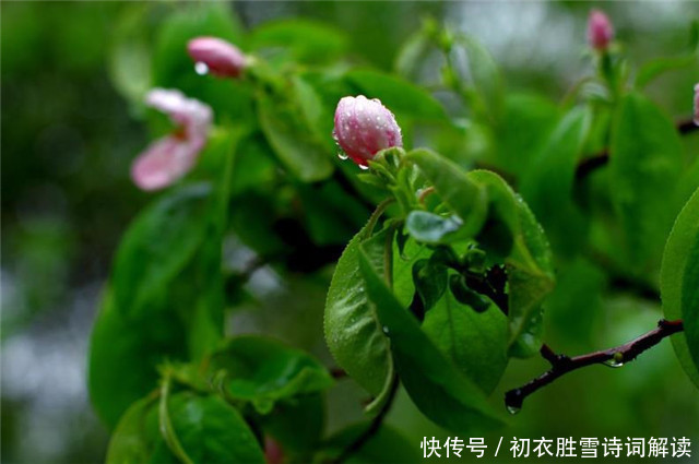  惊蛰节气春雷美诗6首：春雷一声发，惊燕亦惊蛇