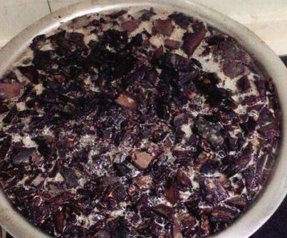 李大爷养虎皮兰,扔盆“2小东西”,根强、芽多、花满盆,好用!