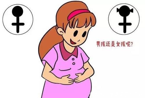 女婴|女婴出生率越来越高,大夫说出4点原因,很现实