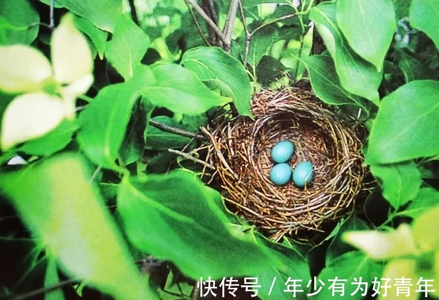 自然教育|绿聚书圈｜永怀惊奇之心