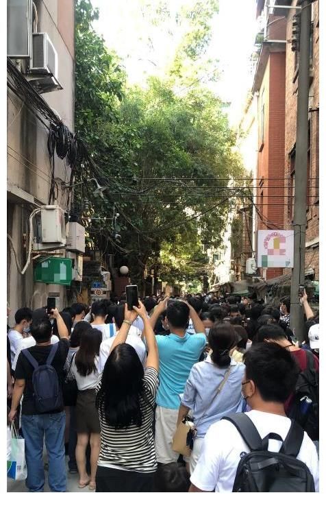 張智霖|明星去菜市場(chǎng)街坊的反應(yīng)很意外，陳小春和張智霖等明星現(xiàn)身廣州錄制節(jié)目