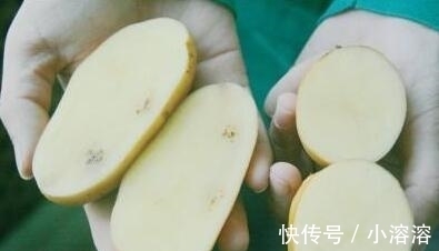 区别|白心土豆和黄心土豆,营养上有区别吗?告诉你日常炒菜,选哪一种