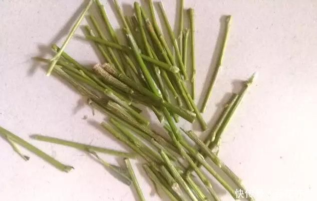 兰花|盆底垫上这一物,盆栽兰花、君子兰10年不烂根,还促生根多又壮