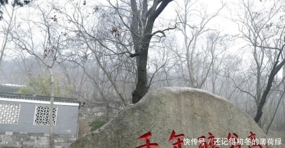 文坛领袖欧阳修,为什么杀掉为北宋立下赫赫战功的狄青?