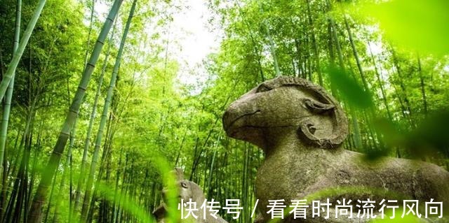 白马公园|南京先后改名20多次，殊不知此山有着不少命名，名气胜过南京！