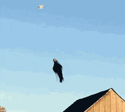 |搞笑GIF趣图:这东西也可以炒着吃吗,我改天试试