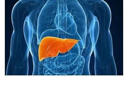 偏性|药补不如食补！对应五脏养生食疗，一篇看懂食物的「四气五味」