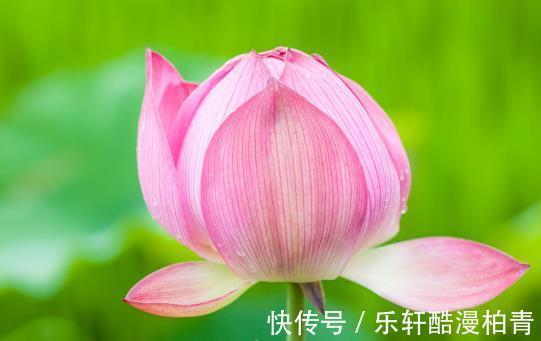 凶星|步入10月，4属相吉星关照，运旺财旺桃花旺，福禄满满