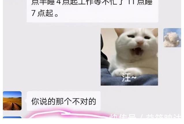 爸爸|大学生和父母的聊天记录走红,老爸堪比“段子手”,是亲爹没错