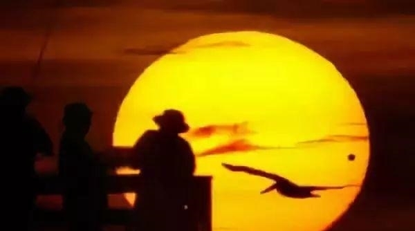 硬核科研:观星8年一事无成,回家惊闻本人已死