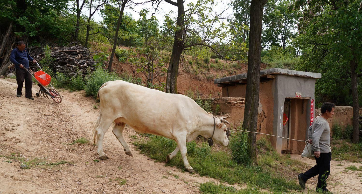 小道|河南大山密林发现世外桃源，2户人家生活在此过百年，啥情况