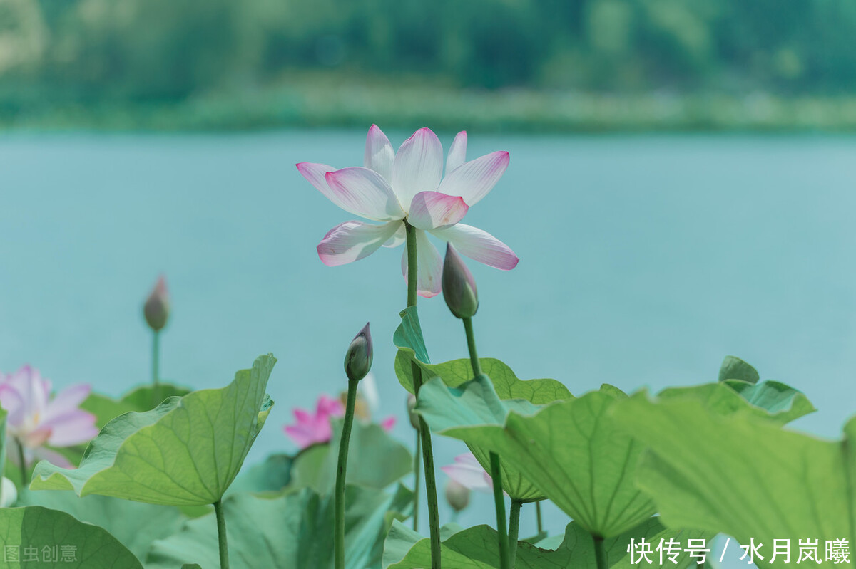 山形|过眼年华,流年轻度,人世几回伤往事,山形依旧枕寒流