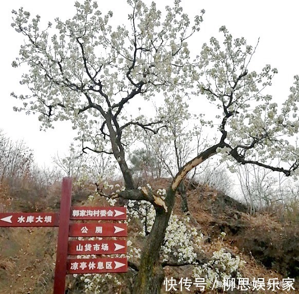 美食|在蓟县雨泽园除了能享受地道的农家火炕，这里的美食也太香了吧！