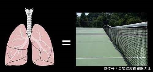 有意思|10个有意思的冷知识,你可能想象不到,知道了就感觉比较牛了!