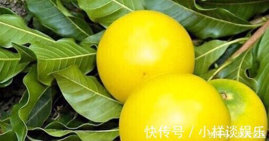 黄金果|女性姨妈走后,此“黄金果”要经常吃,排出子宫毒素,远离妇科病