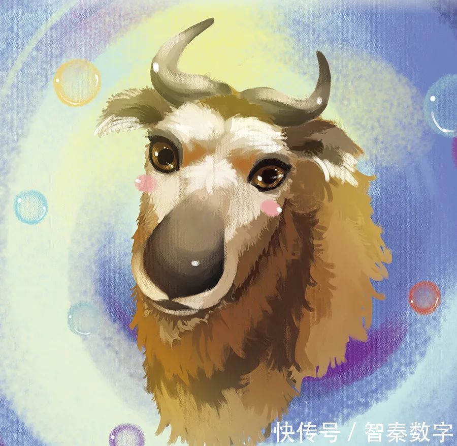 两米高|人与自然和谐共生教育:羚牛(上)