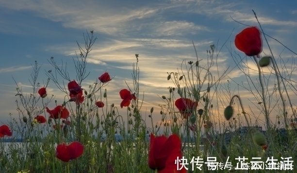 前路|阴历几月出生的人，前路有知己、有机遇、有钱花，今年妥妥成大器