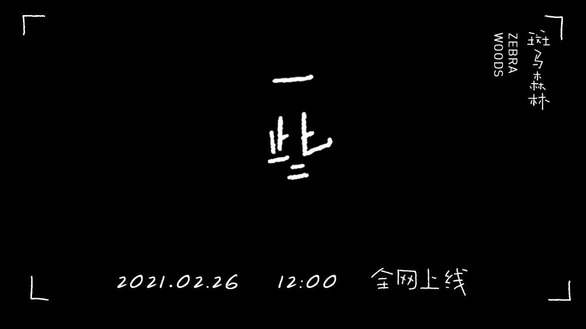 斑马森林乐队新歌《一些》上线 全新风格,令人惊喜