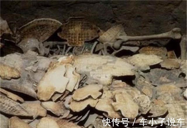 甲骨文@古代一敷就好的金创药,为何后来消失了看看它的原材料就能明白!