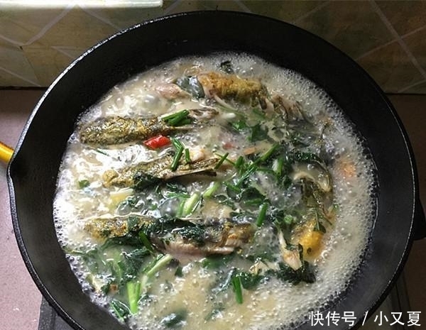 黄骨鱼|无论炖什么鱼, 只要没有“这1步”, 炖出来的鱼不老不腥, 肉特嫩