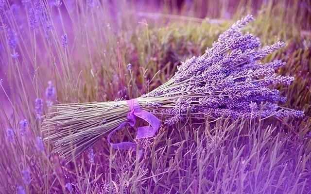 古人|皇帝龙袍也是可以清洗和翻新的,其中诀窍,古人一直在用!