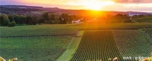 酒庄|82年拉菲到底生产了多少瓶?为何喝了37年还没喝完?原因令人意外