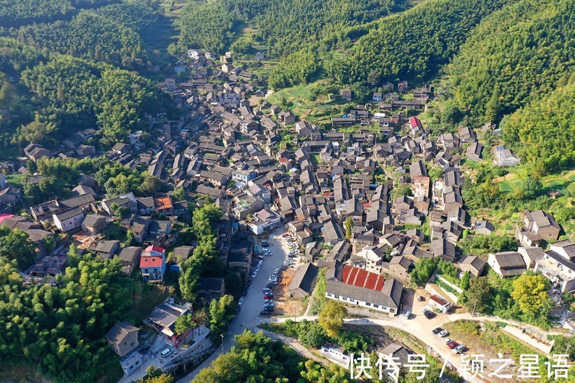 粉黛|宁波最大的粉黛花海，又到绚烂时，游客蜂拥而至