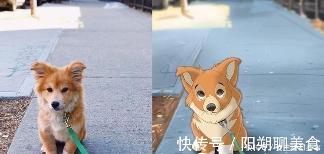 宠物照|迪士尼化宠物照,画家笔下的小家伙们就像是动画片中的角色一样