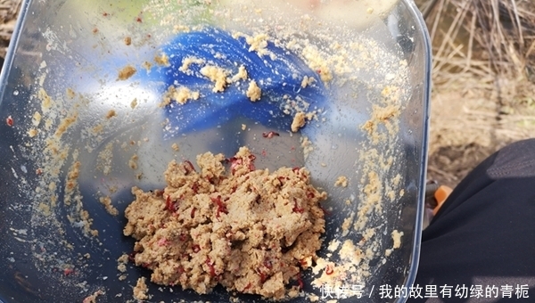 早春钓鲫鱼,4钓4不钓,换个思路,渔获更多