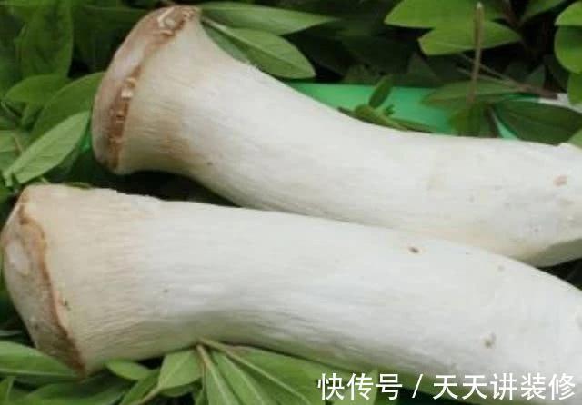 天然|男人的“天然雄激素”，每天坚持吃一点，或越吃肾脏越有活力