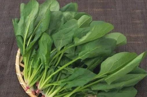 中医|72岁退休中医自述：养骨其实很简单，做好2件事，或预防骨质疏松