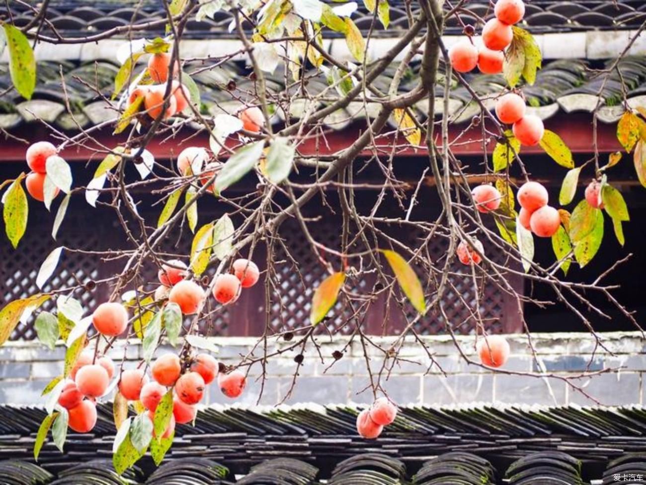 朝圣普照寺，闲游街子古镇