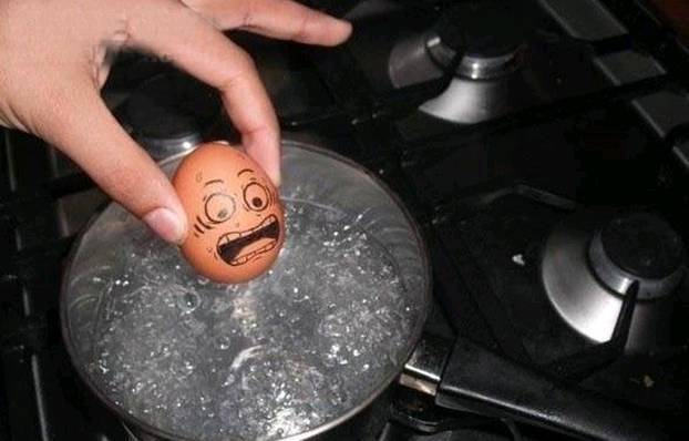 |搞笑图片幽默段子笑话蛋蛋看来不想下锅,主人就饶过它喽,哈哈