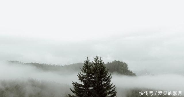 痴情|7月，时间煮雨，说好不分离，爱有余温，痴情难舍，相伴往后余生