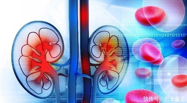 加速肾脏“衰老”的5个坏习惯,喝酒排第3,自测一下吧