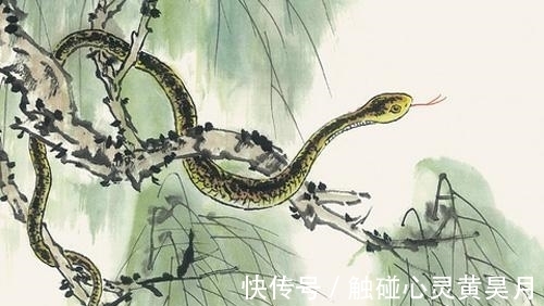 生肖|进入10月,喜讯频传,财运不断,福气深厚的属相