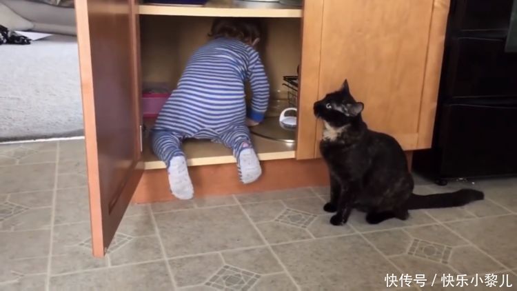 越“爬”越聪明,爬行敏感期错过很可惜!5种姿势助力宝宝学爬行