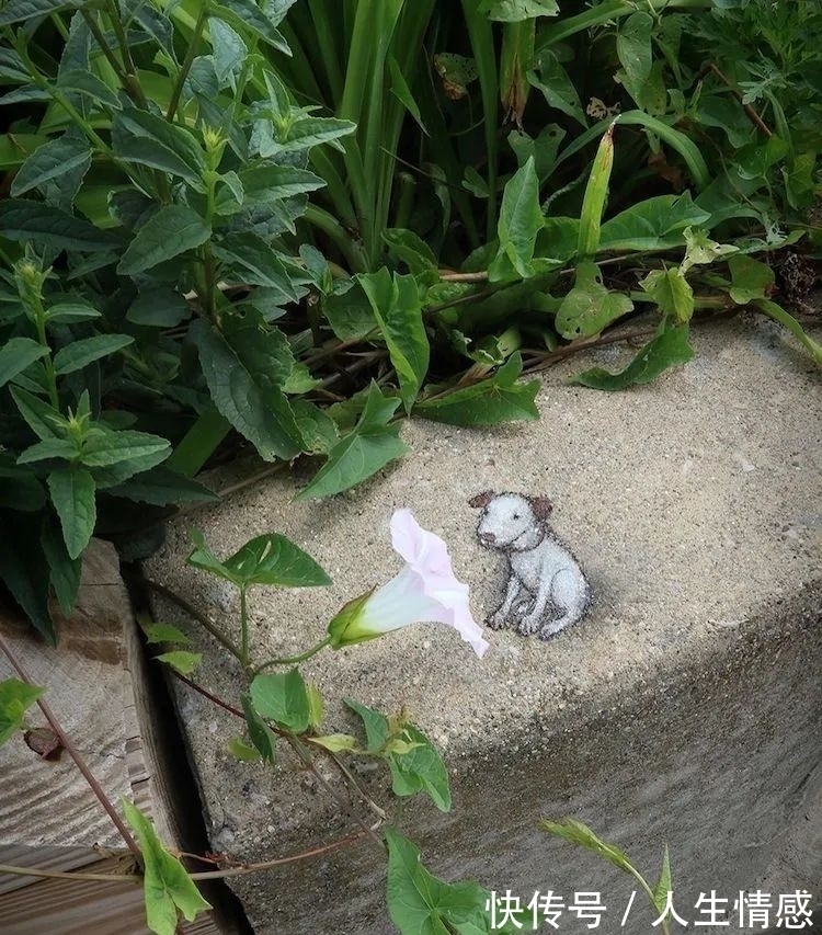 幸福的生活#可可爱爱的3D粉笔画,让无聊的街头变得妙趣横生,把路人都萌翻了