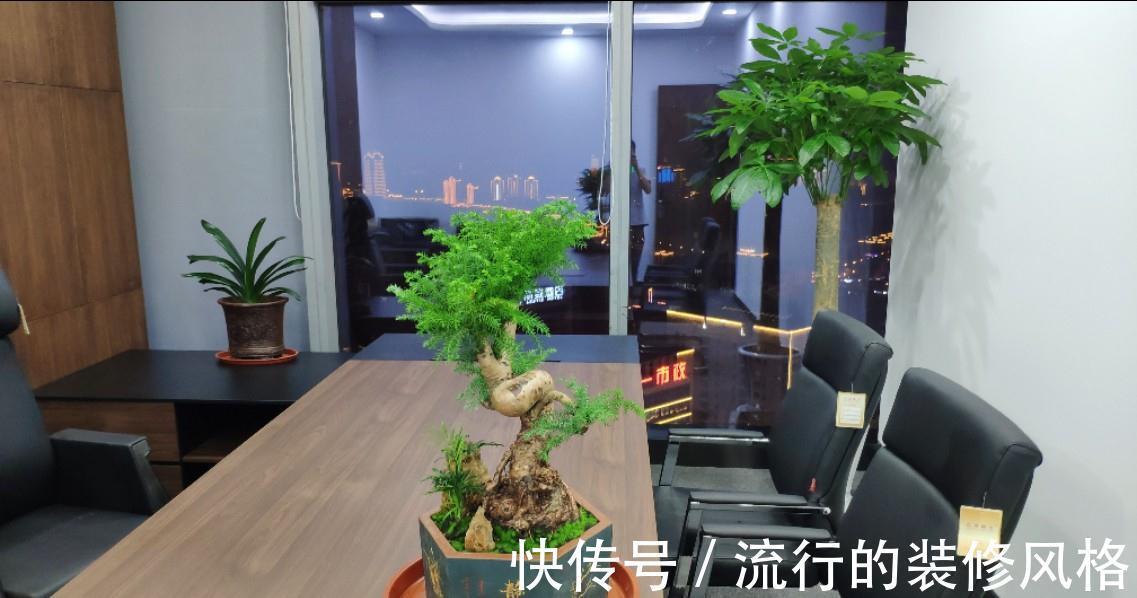 肥料|用肥料前先了解这些基础,养的花蹭蹭长,花一年开好几次