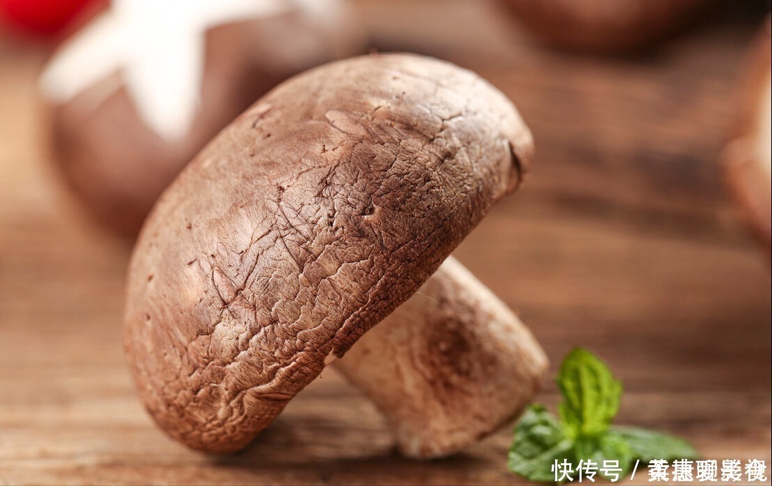 香菇|买香菇,挑大的还是小的?老菜农:牢记“3买4不买”,谁也不敢忽悠你