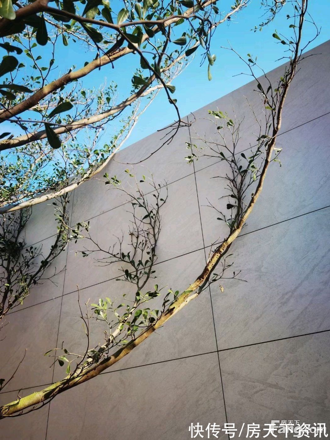 禅城|请查收从佛山禅城热门楼盘现场传来多张谍照(组图)